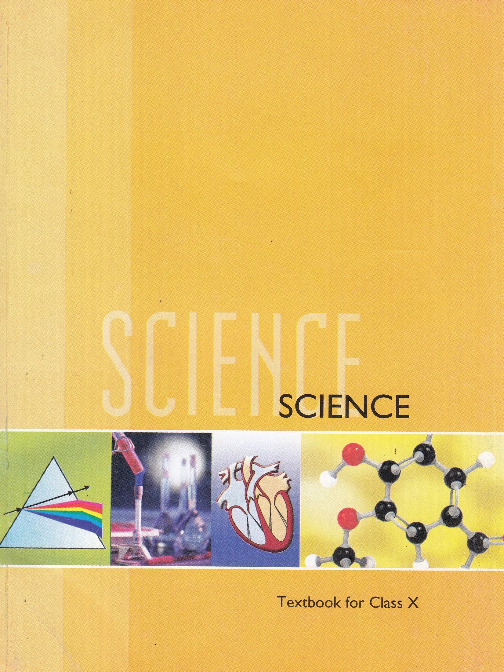 Science syllabus